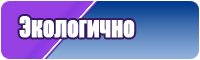 Футболки для девочек